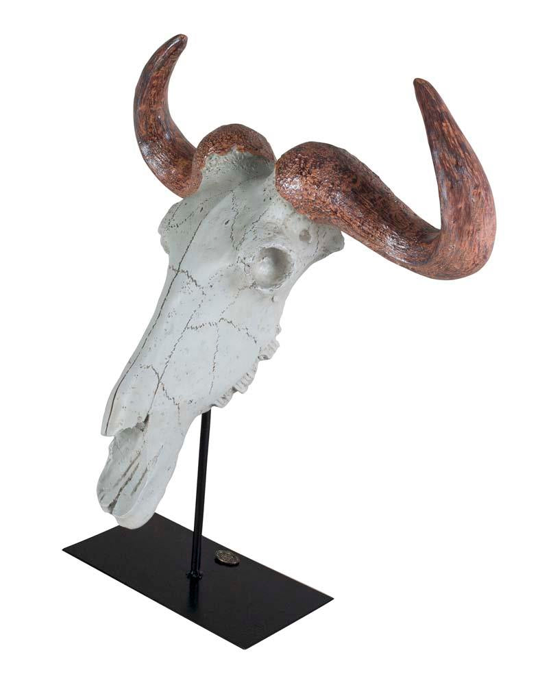 Buffalo Skull  by Authentic Models
