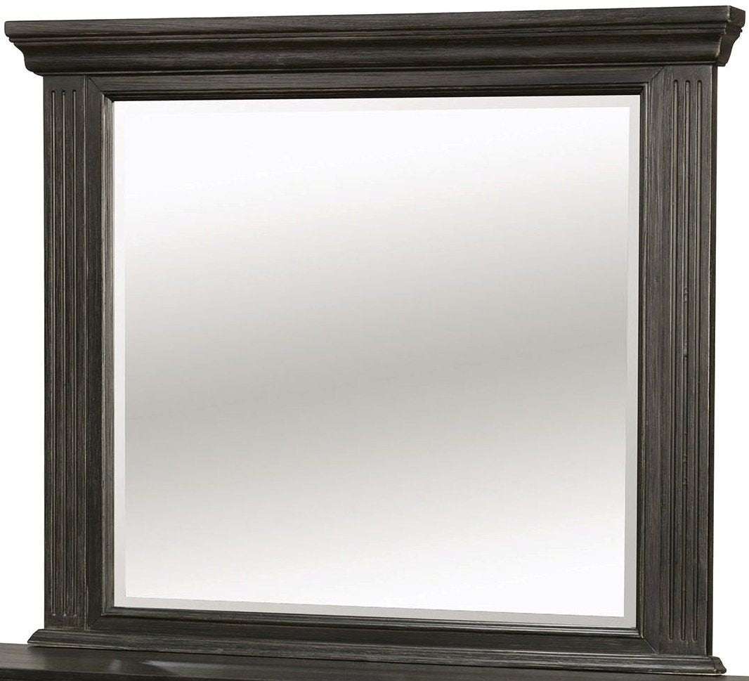 Roisin Transitional Style Mirror, Wire-Brushed Black By Benzara